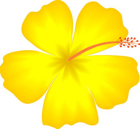Cartoon Hawaiian Flowers Clipart Best