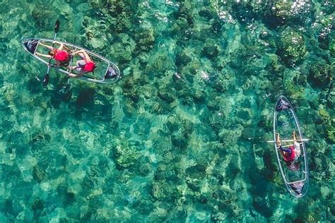 Clear Kayak And Snorkel Tour From Olowalu Beach Southwest Maui 2023