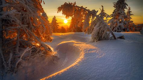 Snow Covered Landscape With Trees During Sunrise Hd Winter Wallpapers