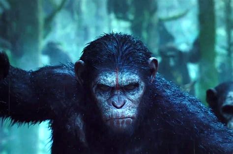 Dawn Of The Apes Action Drama Sci Fi Dawn Planet Apes Monkey