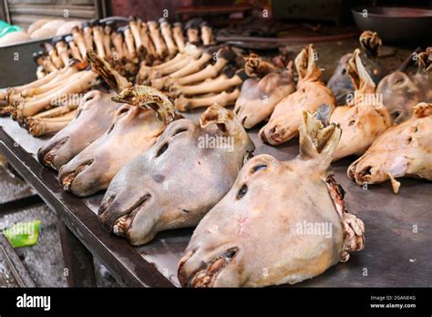 Roasted Heads Of Goat On The Floor Stock Photo Alamy