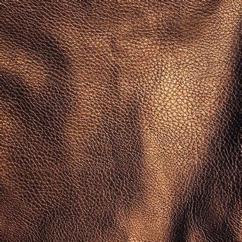 Royalty Free Leathery Skin Pictures Images And Stock Photos Istock