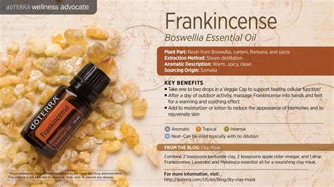 Doterra Frankincense Essential Oil Uses With Recipes