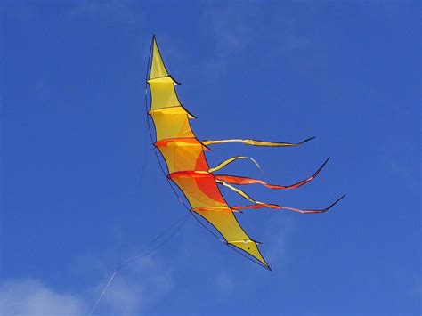 Bow Kite Sunrise Picture Pretty Kites