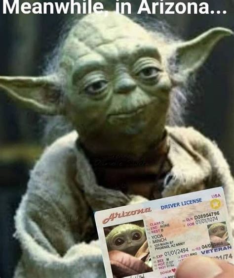 Pin By Tor Bear On Baby Yoda In 2020 Star Wars Memes Best Memes Yoda Meme