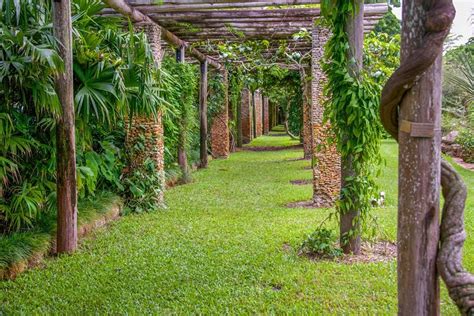 Do as i bid thee, go. Botanical Gardens: Fairchild Tropical Botanical Garden ...