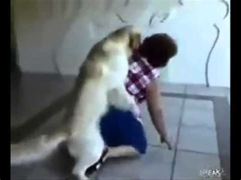 Frau fickt mit ihrem hund