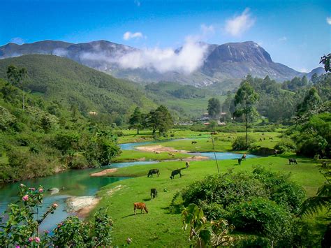 30 Kerala Images That Will Make You Want To Visit Kerala Kerala