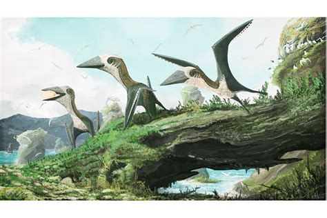 Was This Flying Critter The Ptiniest Pterosaur Of The Late Cretaceous