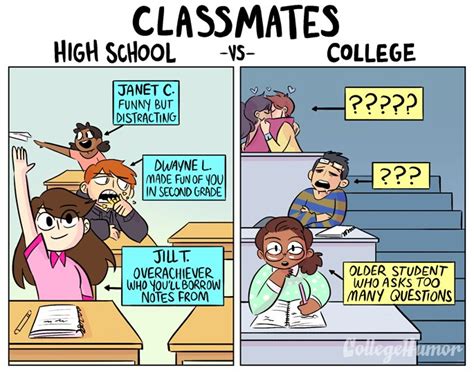 How College Is Different From High School Vicious Kangaroo