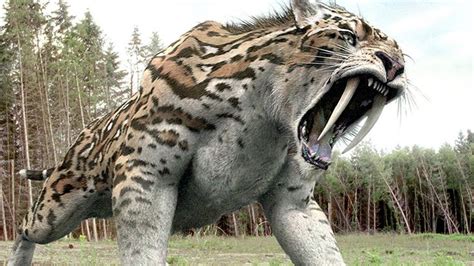 9 Extinct Animals That Could Be Resurrected One Day Extinct Animals