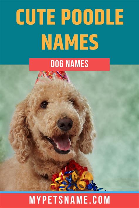 A Dog Wearing A Party Hat With The Words Cute Poodle Names In Front Of It