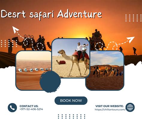 Best Desert Safari Dubai Arabian Adventures Chiltan Tours