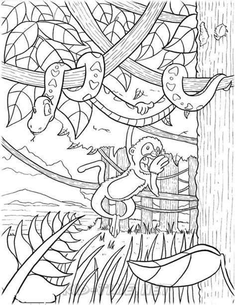 Amazon Rainforest Animals Coloring Pages 007 Kids Time