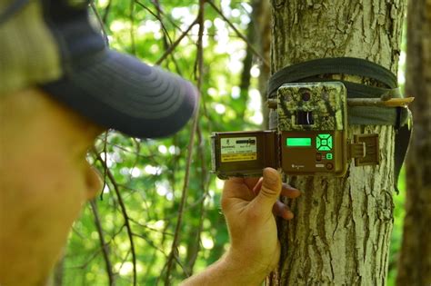 Trail Camera Strategies For Viewing Backyard Wildlife Game And Fish