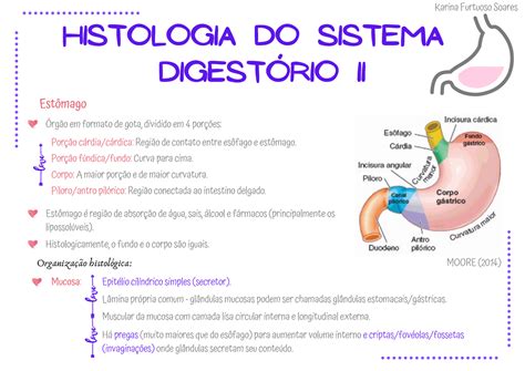 Esquema Histologia Do Sistema Digestório Ii Histologia Do Sistema