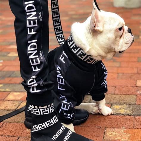 Fendi Dog Harness Fendi No Pull Dog Harness For Small Medium Doggie