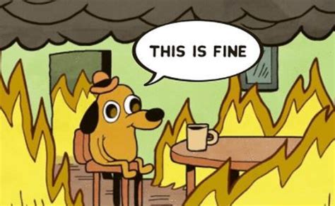 This is fine mask | This is fine dog, This is fine meme, Cartoon pics