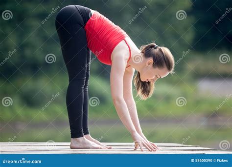 Teenage Girl Doing Intense Forward Bending Pose Stock Photo Image Of