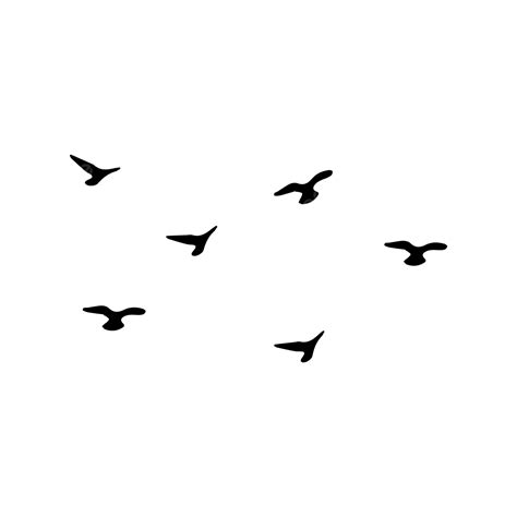 Gambar Beberapa Siluet Burung Terbang Siluet Burung Burung Terbang