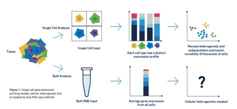 Is Single Cell Epigenomics Right For Me Atac Ing Your Research