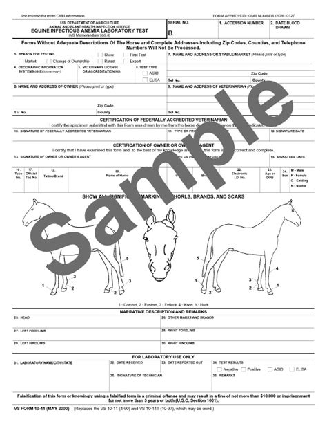 Coggins Papers And Health Certificateswhats The Deal Elite Equine