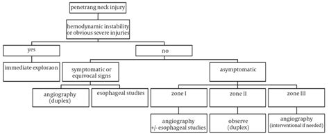 Algorithm For The Evaluation And Management Of Cervical Wounds