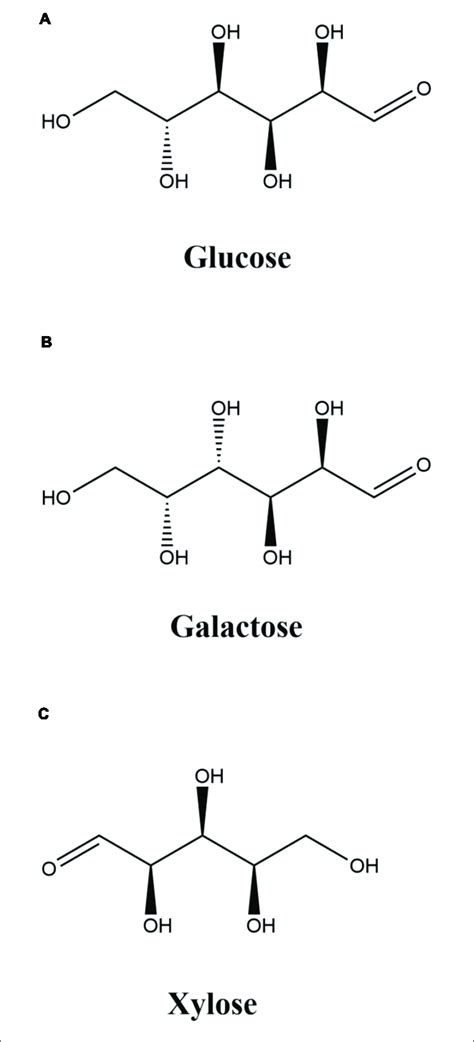 Structures Of Glucose Galactose And Xylose Download Scientific