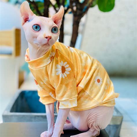 Hairless Cat Sweater Clothes Cozy Cat Clothes Cotton Coat Etsy