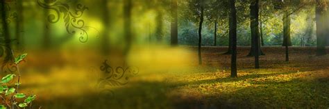 🔥 Forest Nature Flex Banner Background Download Cbeditz