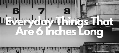 Common Items That Are 6 Inches Long