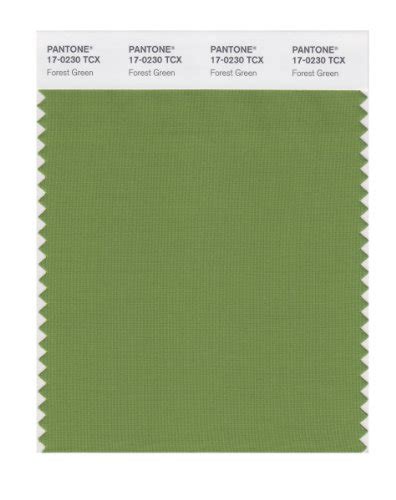 Pantone Smart 17 0230x Color Swatch Card Forest Green
