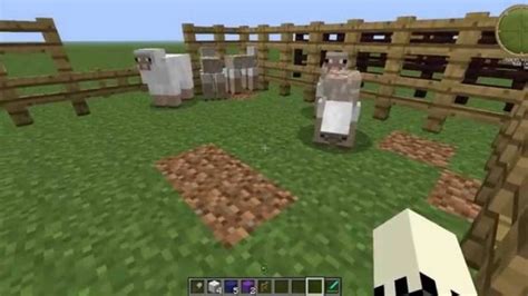 Co Jedzą żółwie W Minecraft - Co jedzą lamy, owce, żółwie, krowy, świnie, delfiny, niedźwiedzie