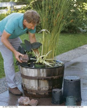 The tiny greenhouse will capture water as it evaporates and water droplets will fall back into the plant. Make a Big Splash with a Tiny Water Garden - FineGardening