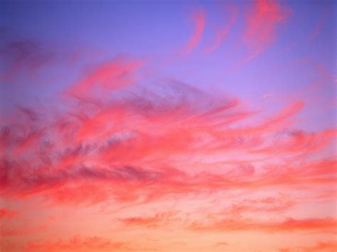 Painted Cirrus At Sunset Pink Sky Clouds Sky Photos