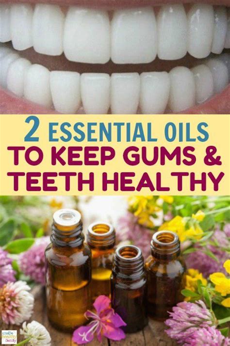 2 Essential Oils For Healthy Gums And Teeth Gum Health Oils