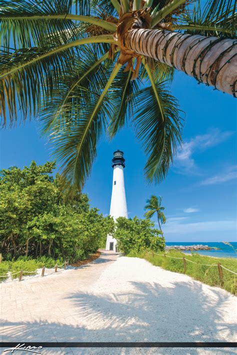 Cape Florida Lighthouse Key Biscayne Florida Under Coconut Tree Royal