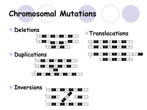 Ppt Transcription Translation And Mutations Powerpoint Presentation Id 6046983