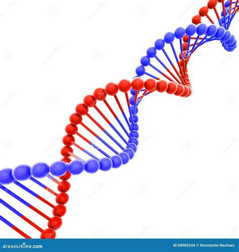 Red And Blue Dna Helix On White Diagonal Stock Illustration