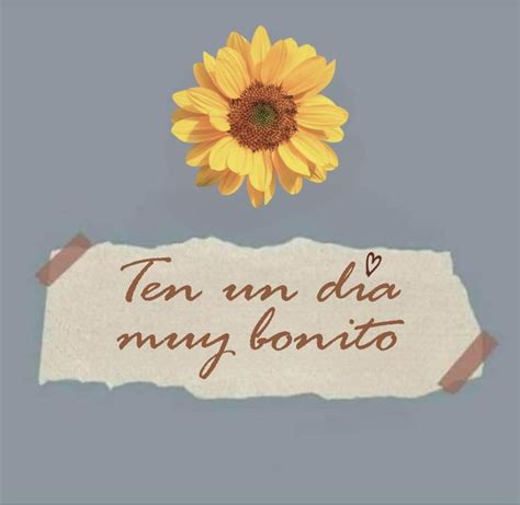 A Sunflower Sitting On Top Of A Piece Of Paper With The Words Ten Um Da