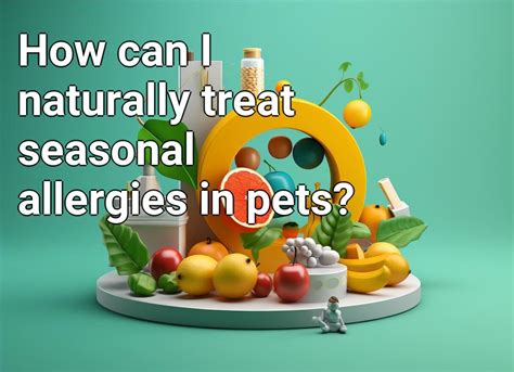 How Can I Naturally Treat Seasonal Allergies In Pets Healthgovcapital