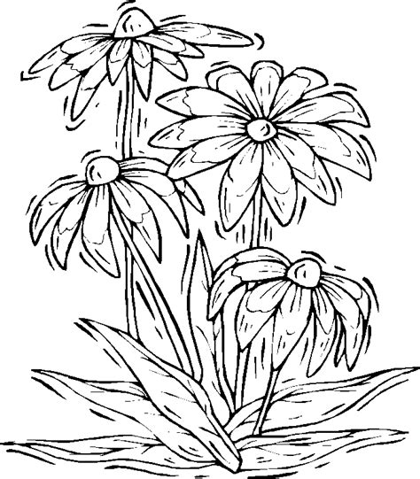 Free Flowers Coloring Pages Flower Coloring Pages Coloring Pages