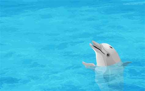 Dolphin Wallpaper Bing Images Bottlenose Dolphin Wallpaper Free