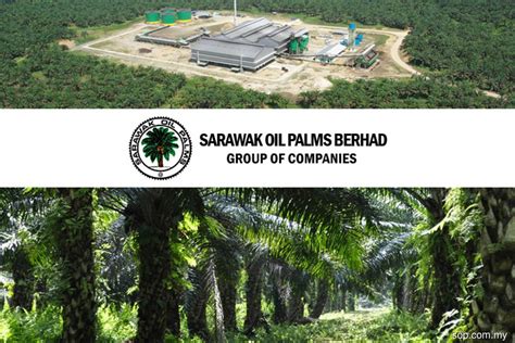 The company is engaged in the cultivation of oil palms and the operations of palm oil mills. Sarawak Oil Palms' profit soars on higher prices and fair ...
