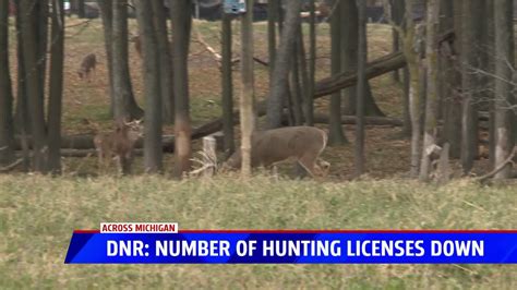Dnr Hunting Decline Could Have Serious Impact On Conservation