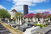 Discover the Montparnasse Cemetery in Paris - French Moments