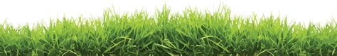 Lawn Grass Png Isolated Pic Png Mart
