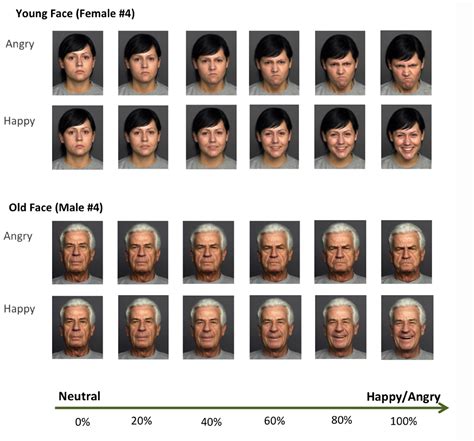 Male attractiveness guy rating scale 1 10 pictures. Frontiers | Emotional expressions of old faces are ...