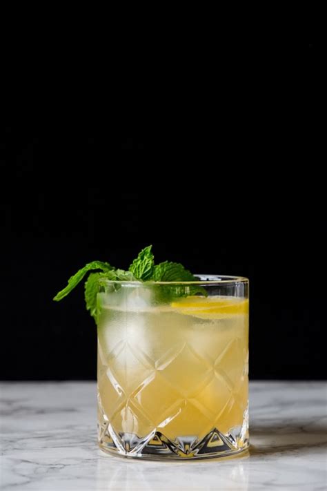 18 Easy Ginger Cocktails For Fans Of Moscow Mules Stylecaster