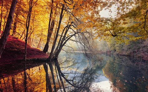 природа пейзаж деревья трава осень красочная вода река Hdr дом